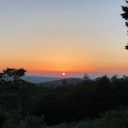 Вилла Poggio Al Sole Badia A Passigano Экстерьер фото