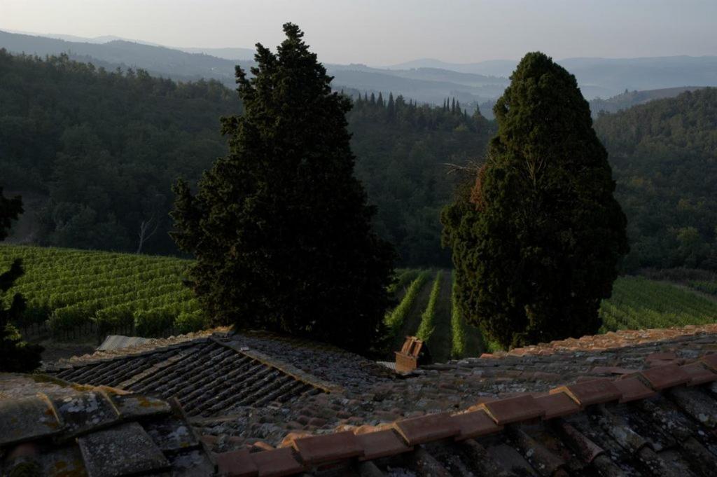 Вилла Poggio Al Sole Badia A Passigano Экстерьер фото