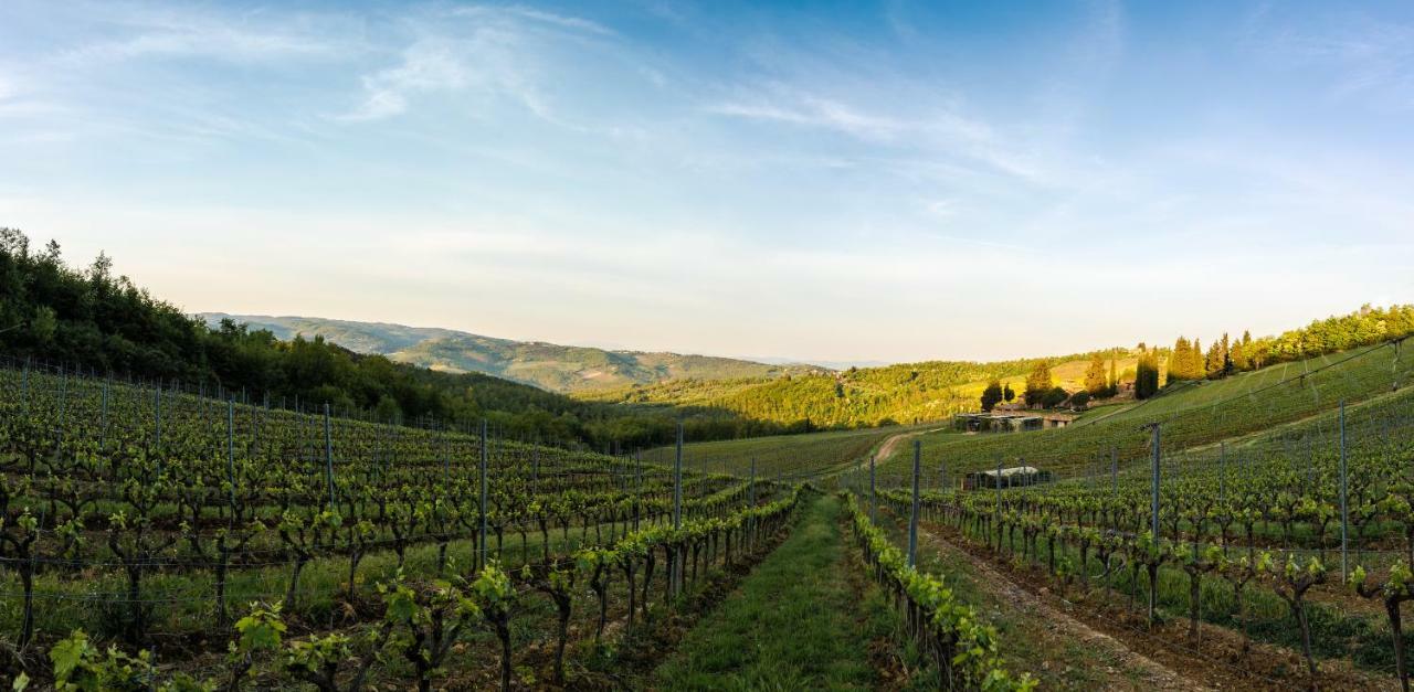 Вилла Poggio Al Sole Badia A Passigano Экстерьер фото